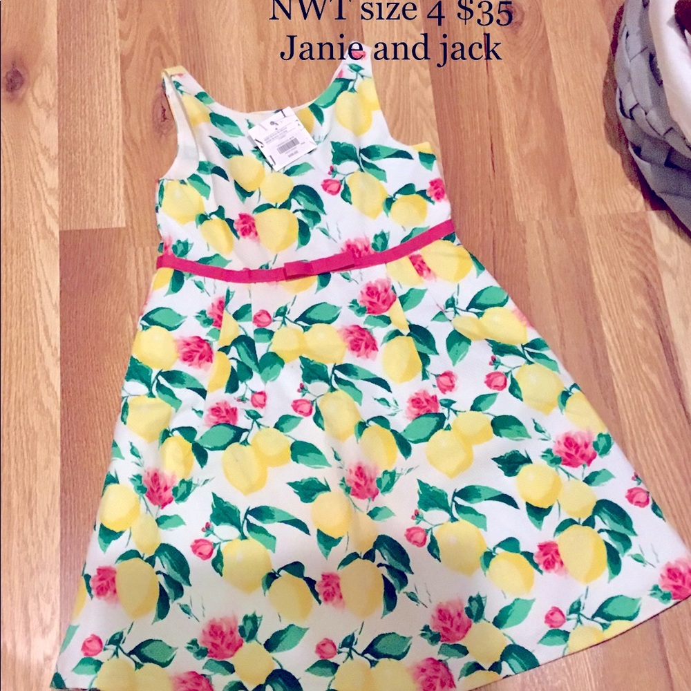 NWT Janie and Jack floral dress size 4T